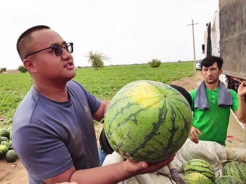 吃瓜吃猪头肉图片大全,吃瓜群众眼中的美食狂欢图鉴