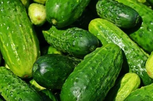 吃瓜的黄瓜,探寻黄瓜的美食奥秘