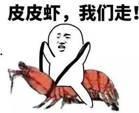 吃瓜群众坐在别墅,别墅里的生活点滴