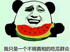 吃瓜是太闲了吗,揭秘“太闲了吗”背后的社会现象