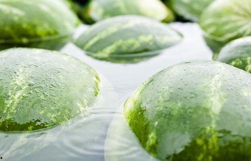 心静自然凉吃瓜,吃瓜解暑度夏日