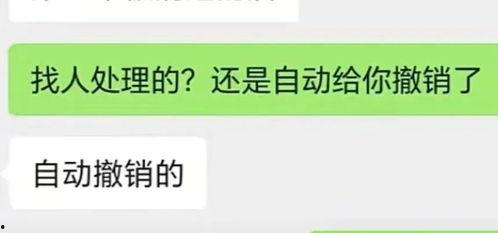 抖音最新吃瓜视频号